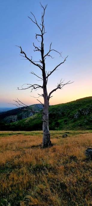 Pensiunea Valea Susitei, Ciubar, Sauna, Atv, Safarii Jepp Offroad Ghid Turistic, Climbing, Rafting, Paragliding Targu Jiu Bagian luar foto